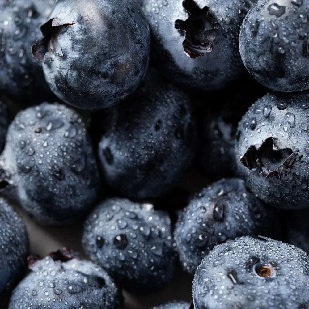 Honeybalm Blueberry - Image 4