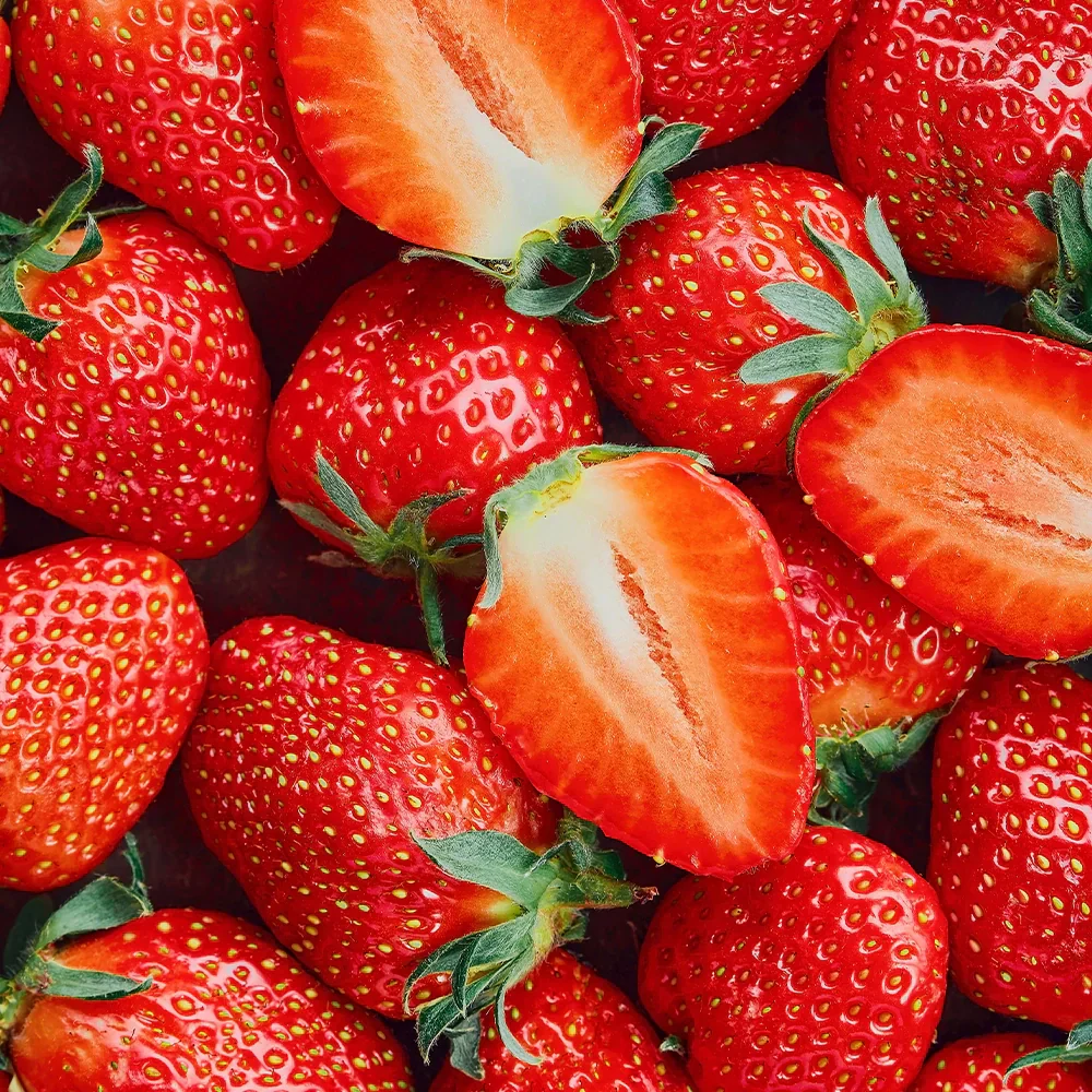 Honeybalm Strawberry - Image 5