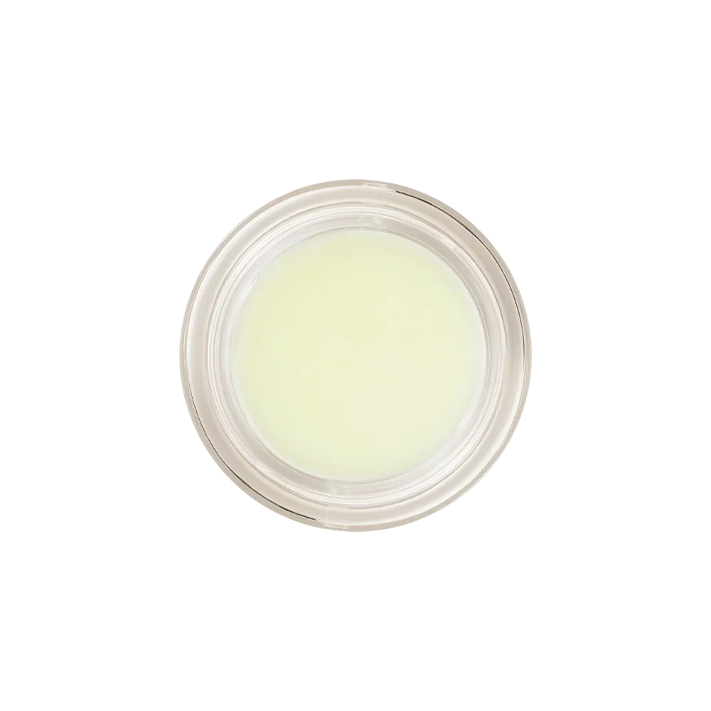 Honeybalm Mint - Image 8
